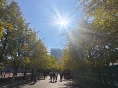 -辽宁大学(崇山校区)