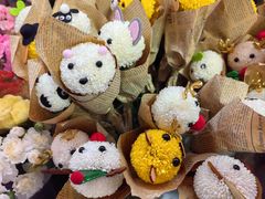 -越秀西湖花市(广州城市广场花卉店)