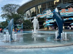 -海合安成都极地海洋公园