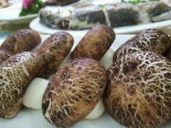 -吴祥记潮州菜·百年老字号·砂锅粥