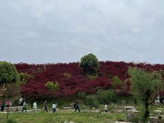 -天河潭旅游度假区