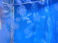 -厦门海底世界
