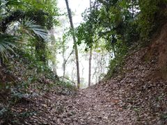 -苏州上方山国家森林公园