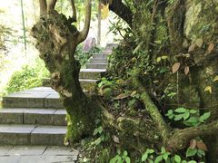 -石台牯牛降景区