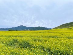 -扁都口生态休闲旅游区