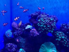 -多彩贵州城极地海洋世界