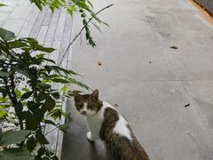 -日出青木·杭帮菜名店