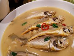 小黄鱼-拉完海鲜大排档(温岭店)