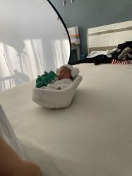 -玛瑞莎孕婴童摄影到家拍