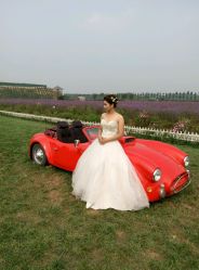 android_upload_pic-完美新娘婚纱摄影