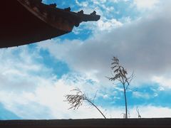 -溪口-滕头旅游景区