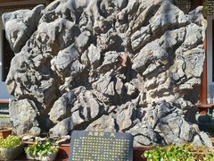 -磐安舞龙峡景区