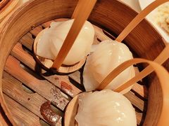 -金鼎轩(方庄天坛店)