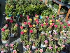 -南通洲际绿博园