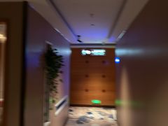 -世外桃源水疗会(皇庭彩园店)