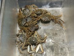 -苏格里岛自助海鲜火锅烧烤(神农店)