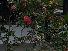 -墨池公园