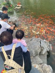 -玄武湖景区-情侣园游乐场