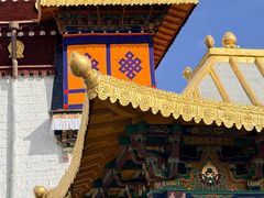 -阿刁(大昭寺店)