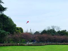 -荆川公园