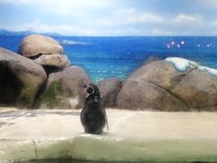 -厦门海底世界