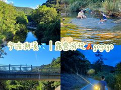 -北仑森林植物园