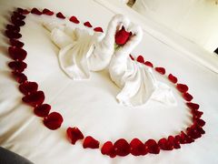 黎客国际酒店-黎客国际酒店