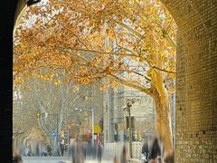 -西安城墙·碑林历史文化景区