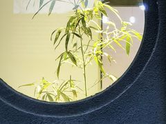 -古耳咖啡(北锣店)
