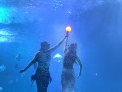 -太平洋海底世界