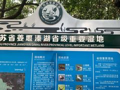 -溱湖国家湿地公园