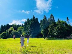 -武陵山森林公园