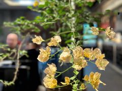 景观位-鸢飞潍坊菜馆(鸢飞大酒店)