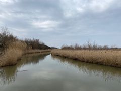 -东滩湿地公园观海楼餐厅