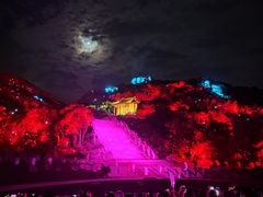 -印象普陀
