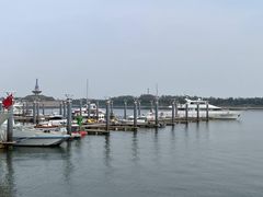 -渡海小渔村.老辈日照菜