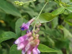 -碓臼峪自然风景区