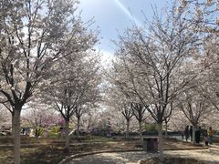 -古柏渡飞黄旅游区