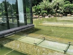 -南宁荔园维景国际酒店·荔园中餐厅