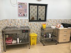 -骐奇宠物诊疗中心(南亭公路店)