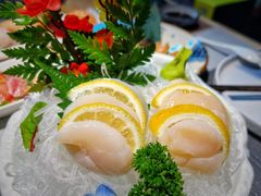 -森味薪火烧•烧鸟居酒屋•日本料理(望京店)