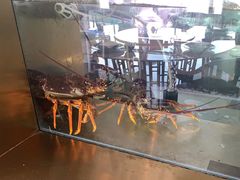 -无锡苏宁银河国际酒店-悦府65中餐厅