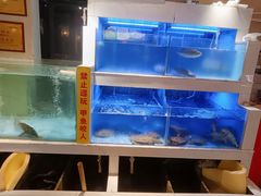 -王捌小院(红花坡店)