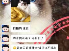 -Bastet sally猫舍购宠(静安店)