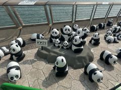 -星光大道