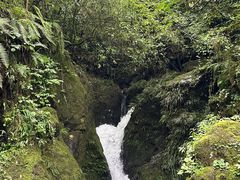 -龙苍沟森林公园