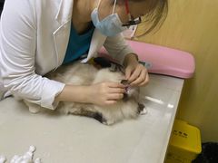 -宠颐生维康宠物医院(金丰店)