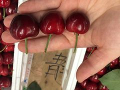 -沈阳市八家子水果批发市场