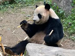 -广州长隆欢乐世界