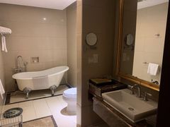 -圣爵菲斯大酒店(长沙世界之窗店)